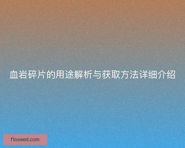 血岩碎片的用途解析与获取方法详细介绍