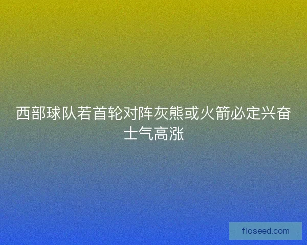 西部球队若首轮对阵灰熊或火箭必定兴奋士气高涨