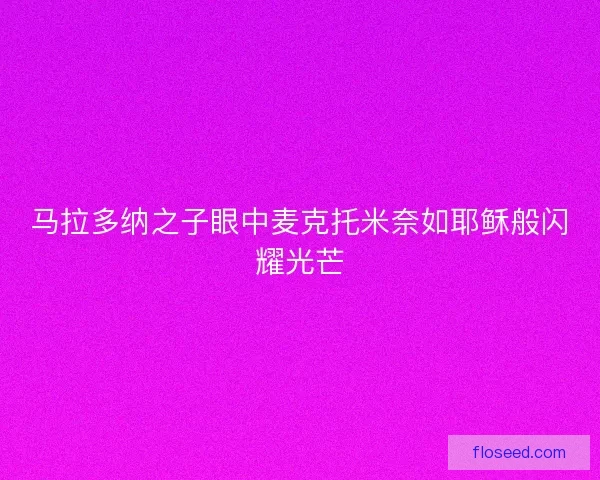 马拉多纳之子眼中麦克托米奈如耶稣般闪耀光芒 马拉多纳之子眼中麦克托米奈如耶稣般闪耀光芒