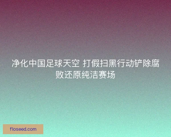 净化中国足球天空 打假扫黑行动铲除腐败还原纯洁赛场