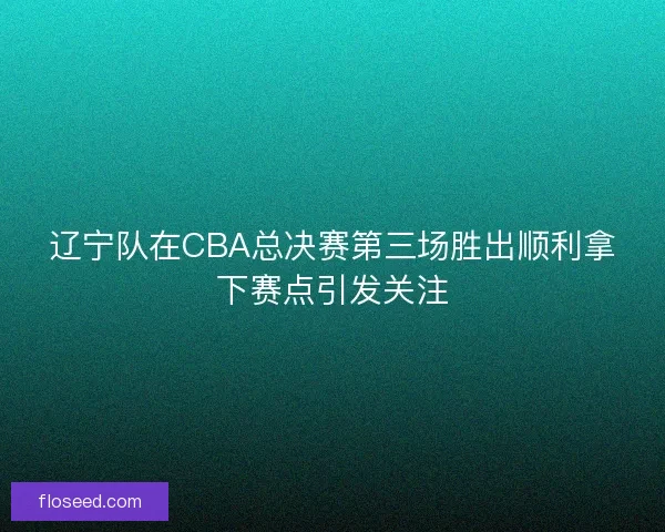 辽宁队在CBA总决赛第三场胜出顺利拿下赛点引发关注