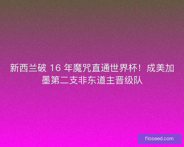 新西兰破 16 年魔咒直通世界杯！成美加墨第二支非东道主晋级队