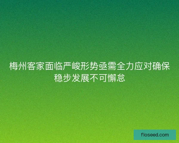 梅州客家面临严峻形势亟需全力应对确保稳步发展不可懈怠